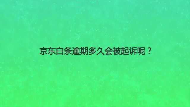 京东白条逾期多久会被起诉呢?