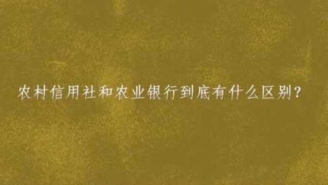 农村信用社和农业银行到底有什么区别?