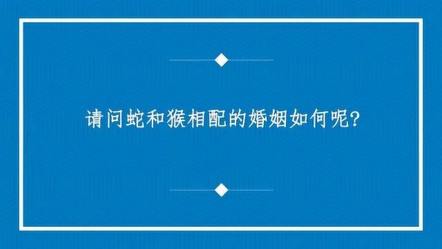 请问蛇和猴相配的婚姻如何呢?