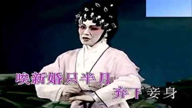 粤剧《琵琶行》名家文千岁、梁少芯演唱 经典 好听好看