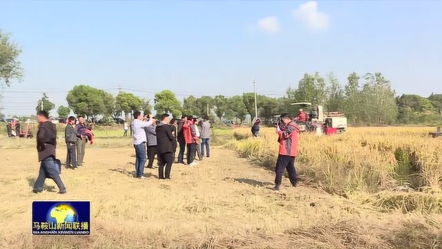 厉害啦!含山县农作物全程机械化