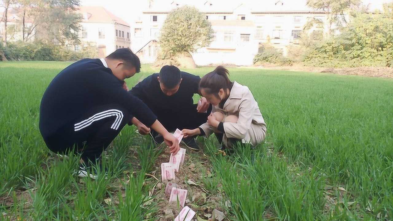 农村小伙得知种瓜得瓜种豆得豆想出怪招要种钱发财太逗了