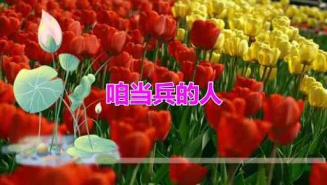 经典老歌:《咱当兵的人》歌曲旋律动听优美,歌词唯美别致