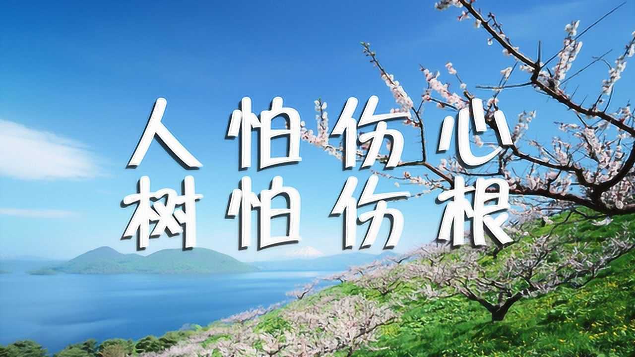 人怕伤心,树怕伤根,听听实在话!
