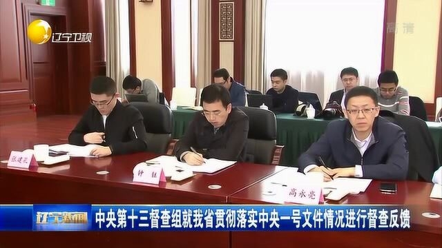 中央第十三督查组就辽宁省贯彻落实中央一号文件情况进行督查反馈