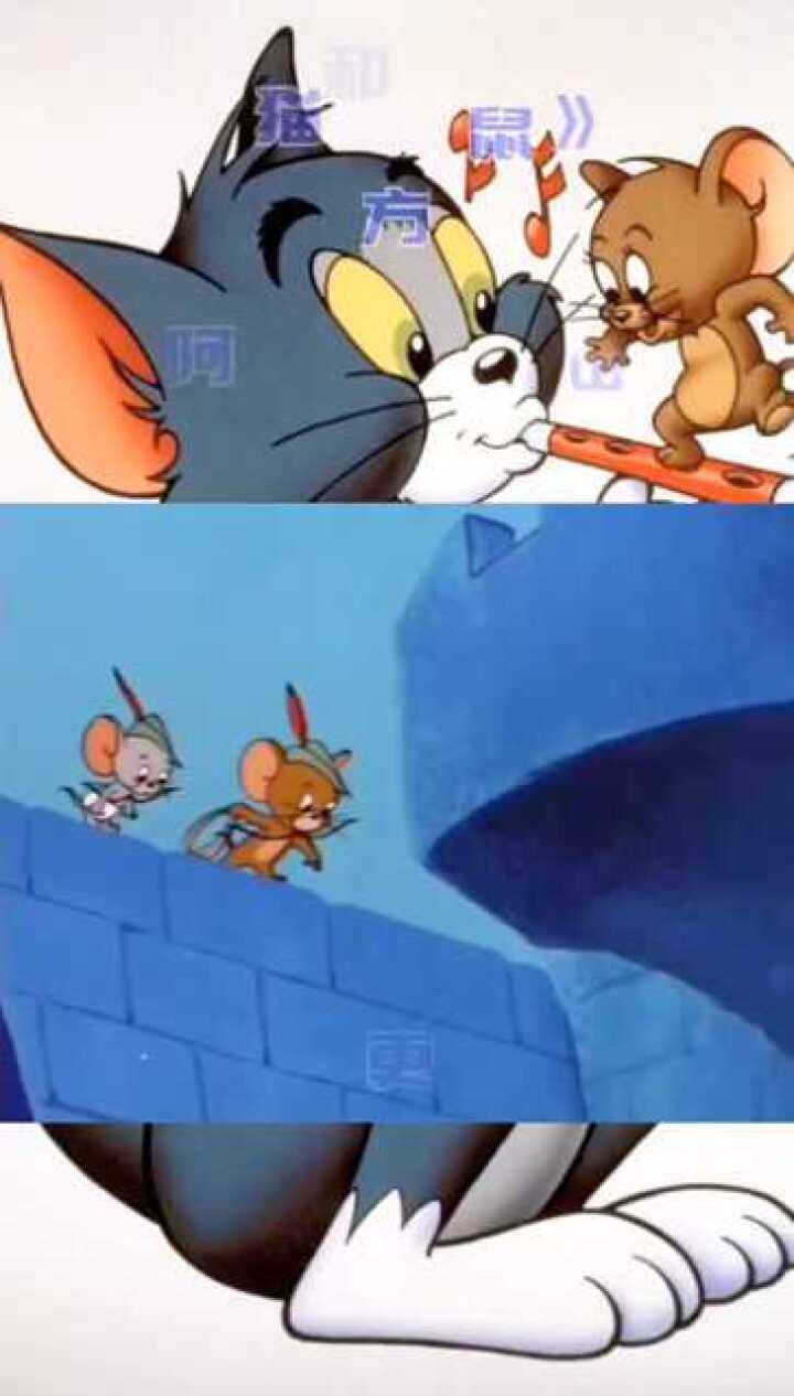 猫和老鼠东北方言版