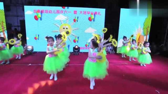 幼儿园六一汇演舞蹈《美丽的太阳花》,一群可爱的孩子