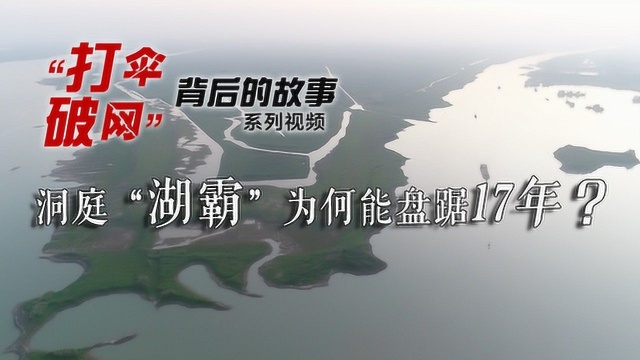 刚刚宣判!11个保护伞、获刑25年的洞庭“湖霸”什么来头?