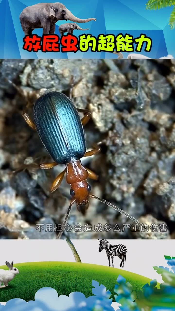 放屁虫的超能力你觉得如何呢_腾讯视频