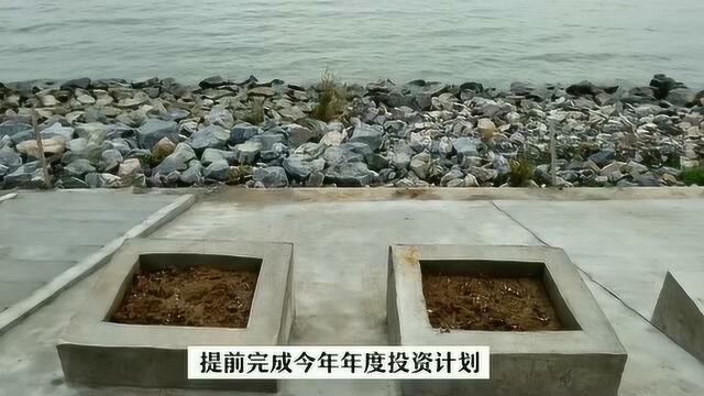 巢湖环湖防洪治理工程提前完成2019年度目标任务