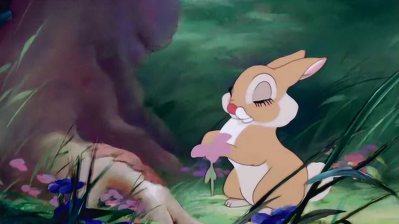 小鹿斑比:桑普是一只小兔子,今天终于遇心议对象