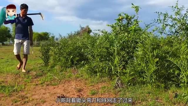 小哥自制巨型捕蛇笼!几分钟擒住一条大水蛇!网友:许仙快救我!