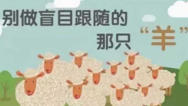 羊群效应:“从众”和“盲从”的临界点在哪里?