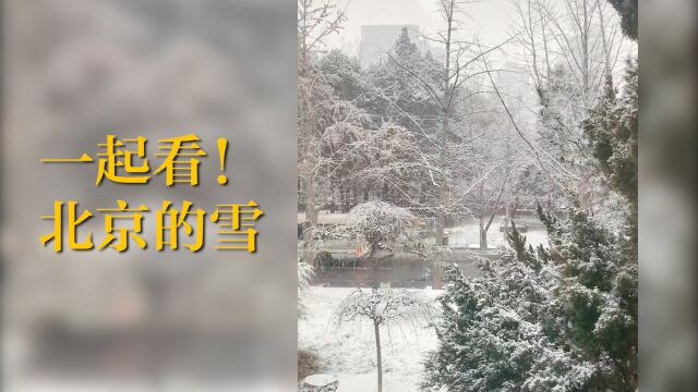 一起看!北京的雪