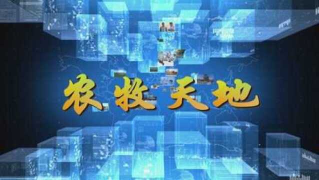 《农牧天地》第52期 牛场的选址与规划设计