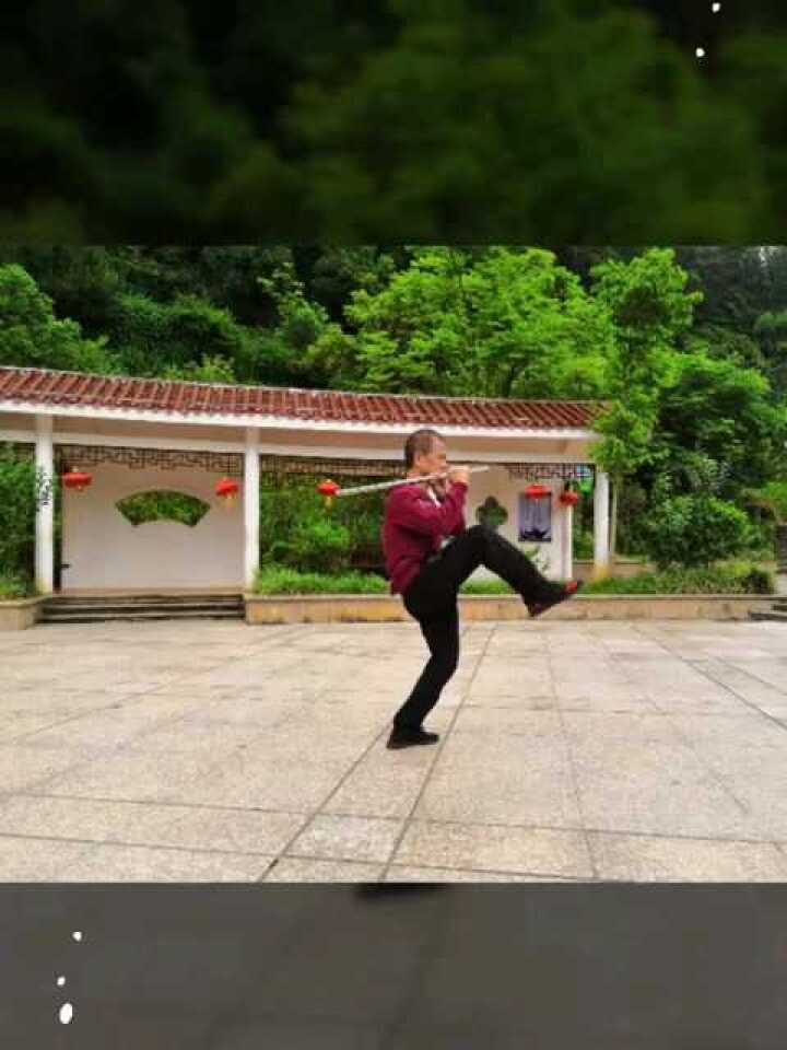 晨练太极鞭杆(太极短棍46式)