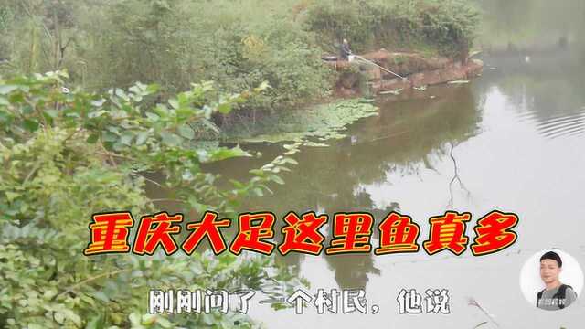 重庆大足去往石马镇的跃进水库,钓鱼免费,除了白鲢随便钓!真好