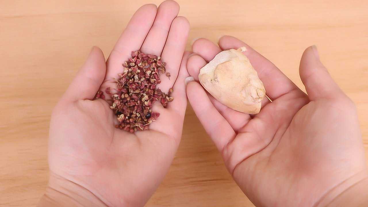 花椒和生姜一起煮水别提多厉害了很多男女都需要学会受用一辈子