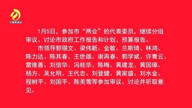 宁德市领导参加市两会审议讨论