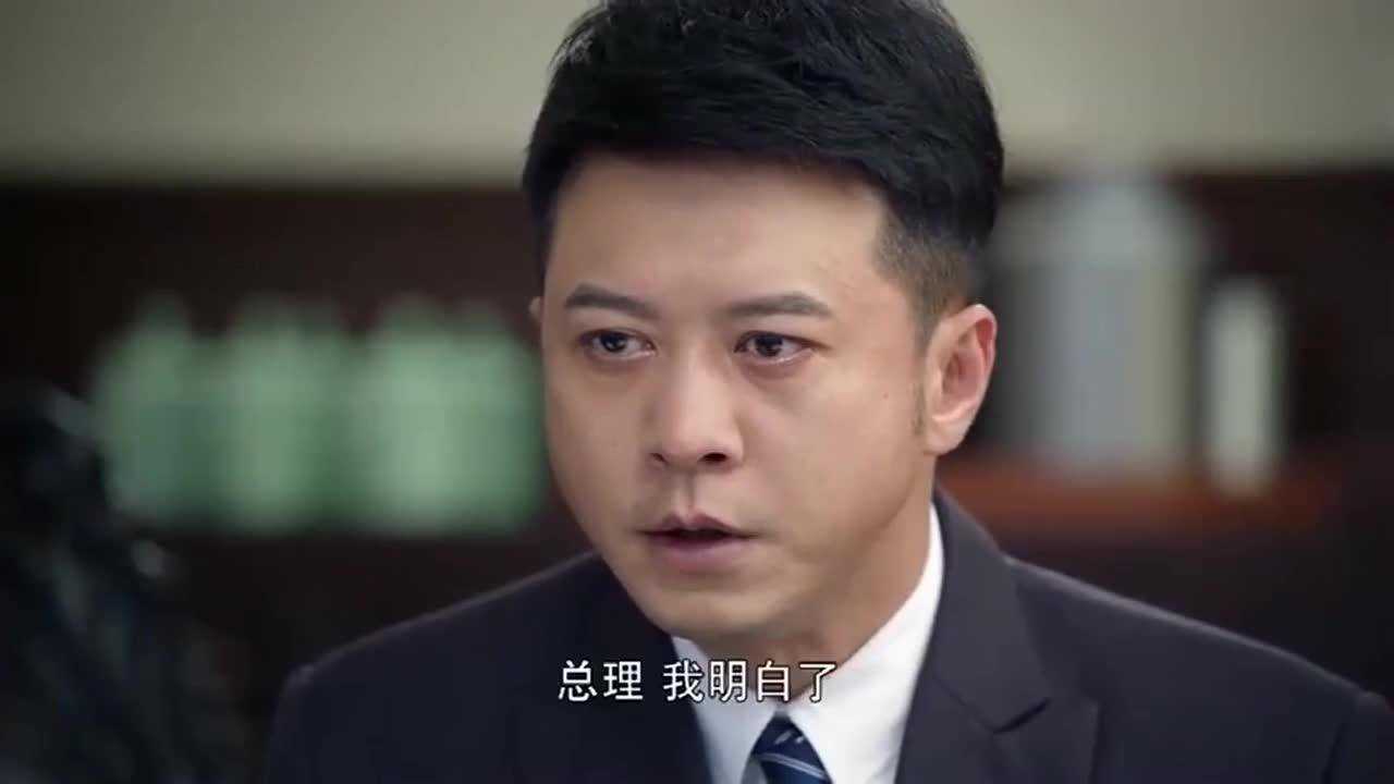 外交风云周总理一席话顿时让何子枫明白外交对我国有多重要