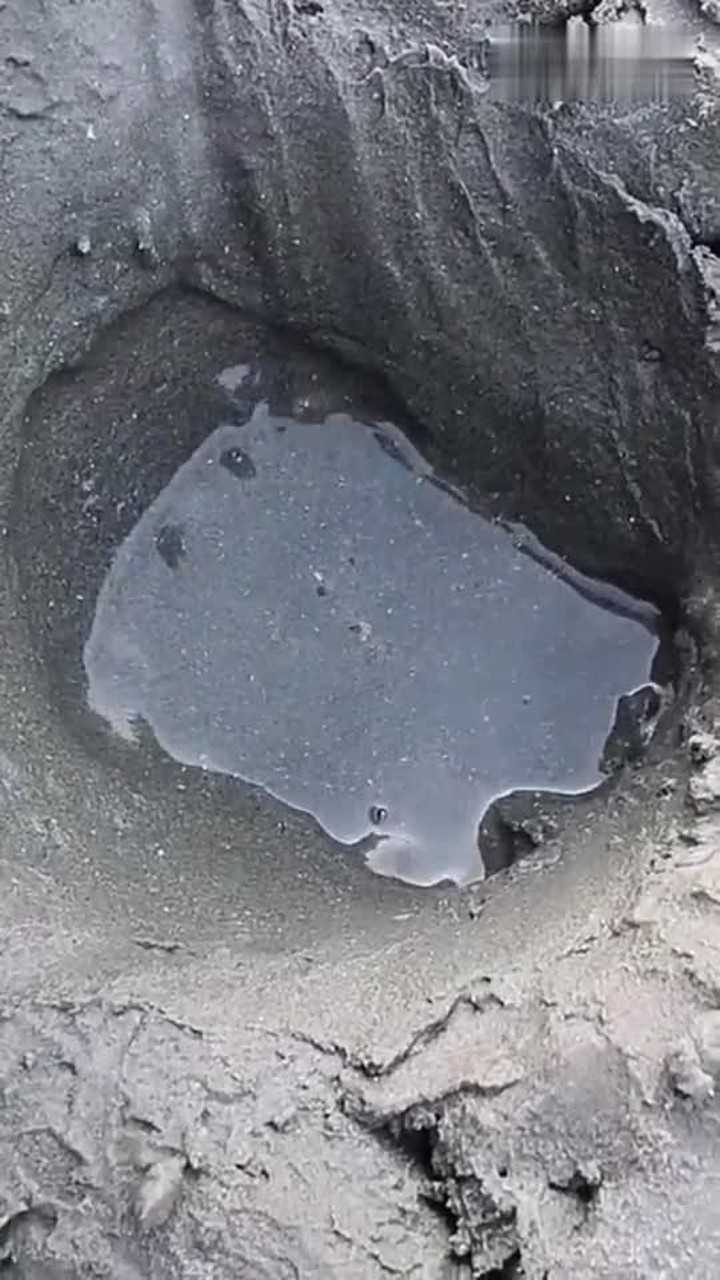 坑里一会就有这么多水,这是什么原理,好神奇!