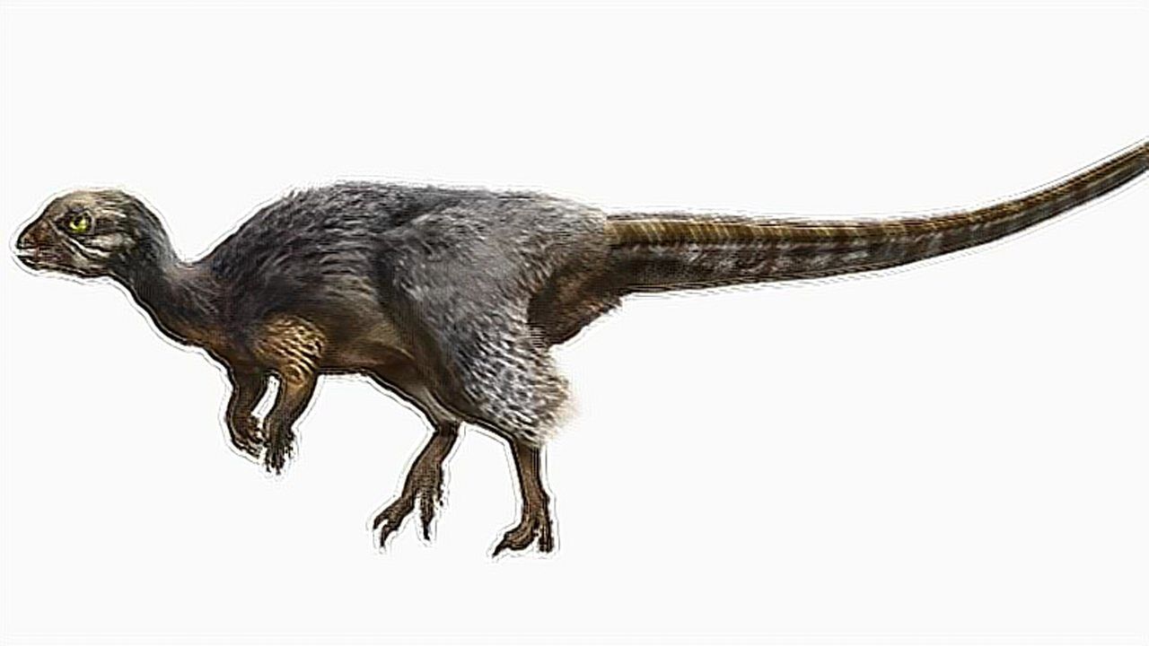 第77集  古林达奔龙