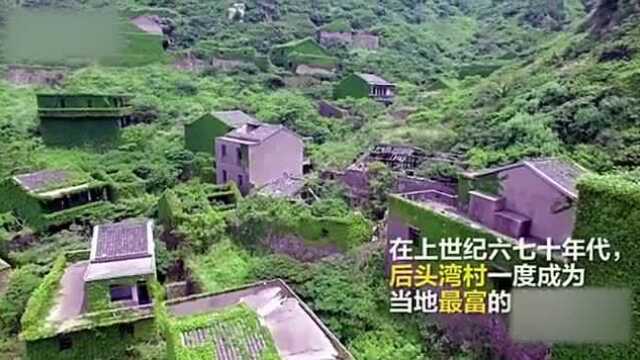 青藤爬满整个村庄!一幅绿野仙踪的人间美景!