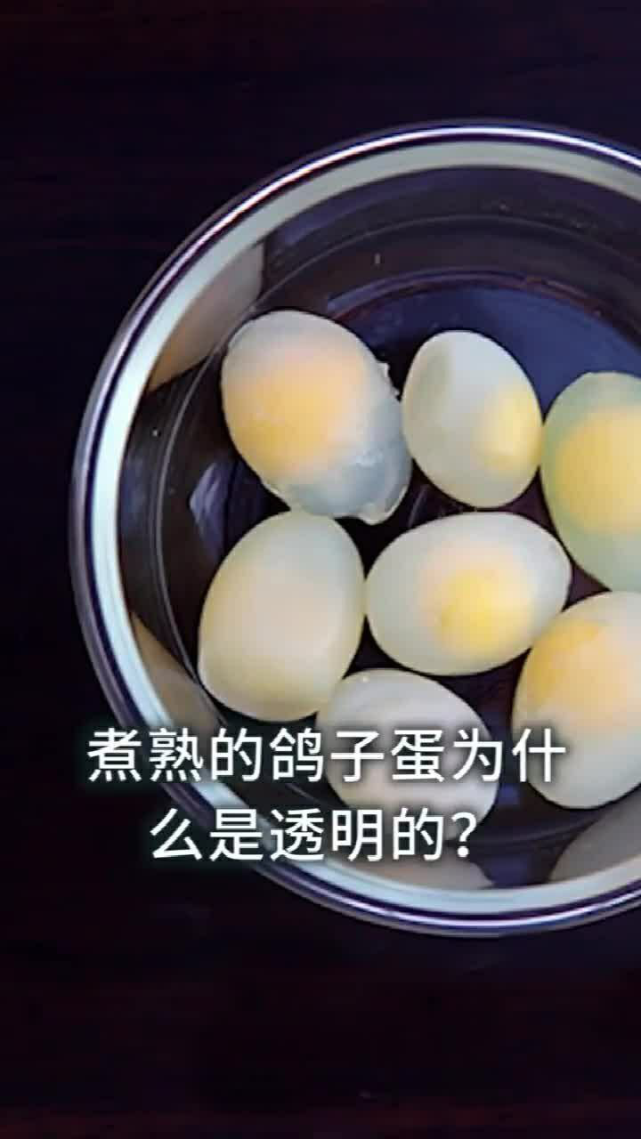 煮熟的鸽子蛋为什么是透明的?看完你就明白了