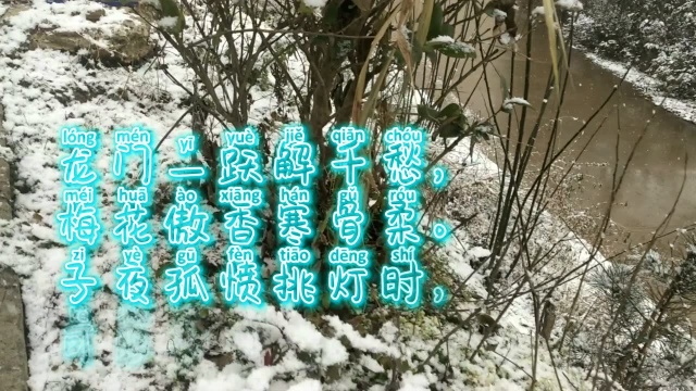 清露古诗词:龙梅子名字的诗,子夜孤愤挑灯时,可恋书中黄金楼?