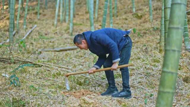 带你了解美食,遂昌风炉锅.