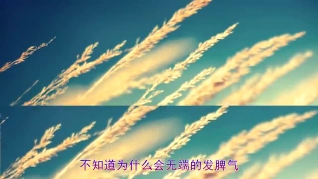 周杰伦—《很对不起》!