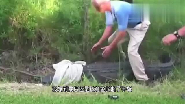 男子作死假扮斑马,不料刚好遇到2头捕猎的狮子,想跑还来得及吗