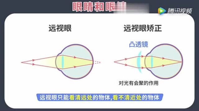 物理干货:眼睛和眼镜!