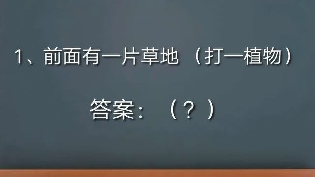 四道连续猜谜语题,每隔十五秒,来挑战一下智力吧