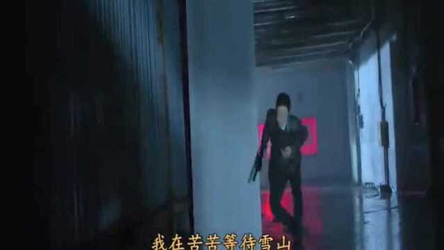 降央卓玛一首名曲《西海情歌》DJ版,太好听了,听一次哭一次!