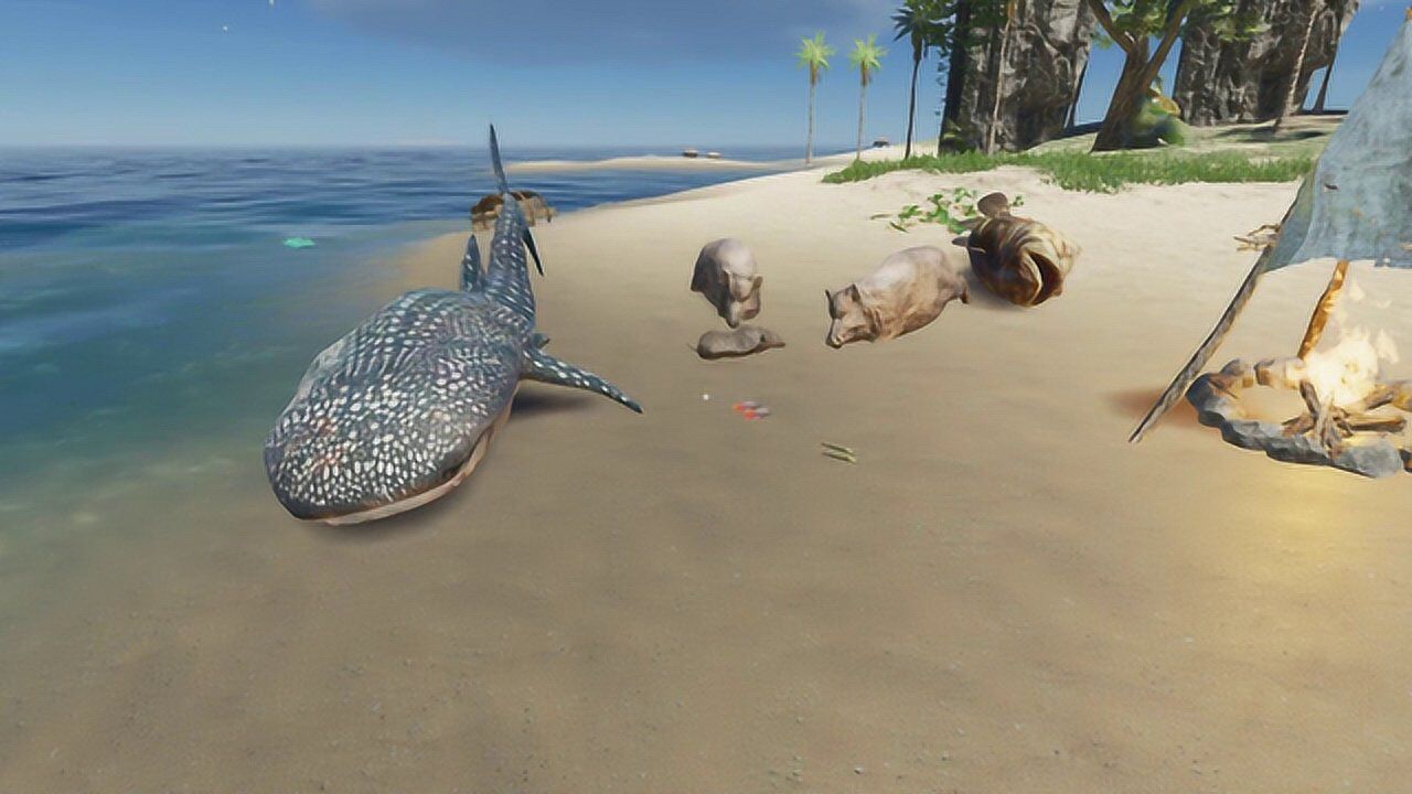 荒岛求生104准备新年晚宴我猎杀巨型野猪鲸鲨和石斑鱼