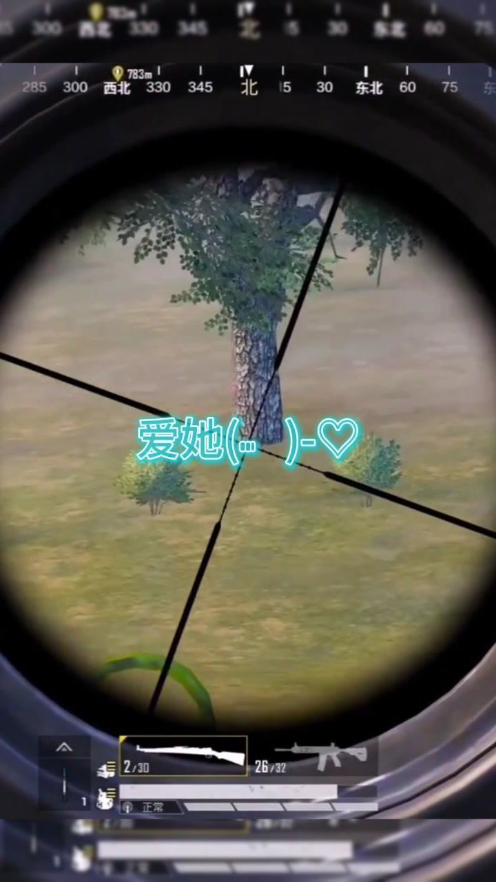 吃鸡,我爱你3030