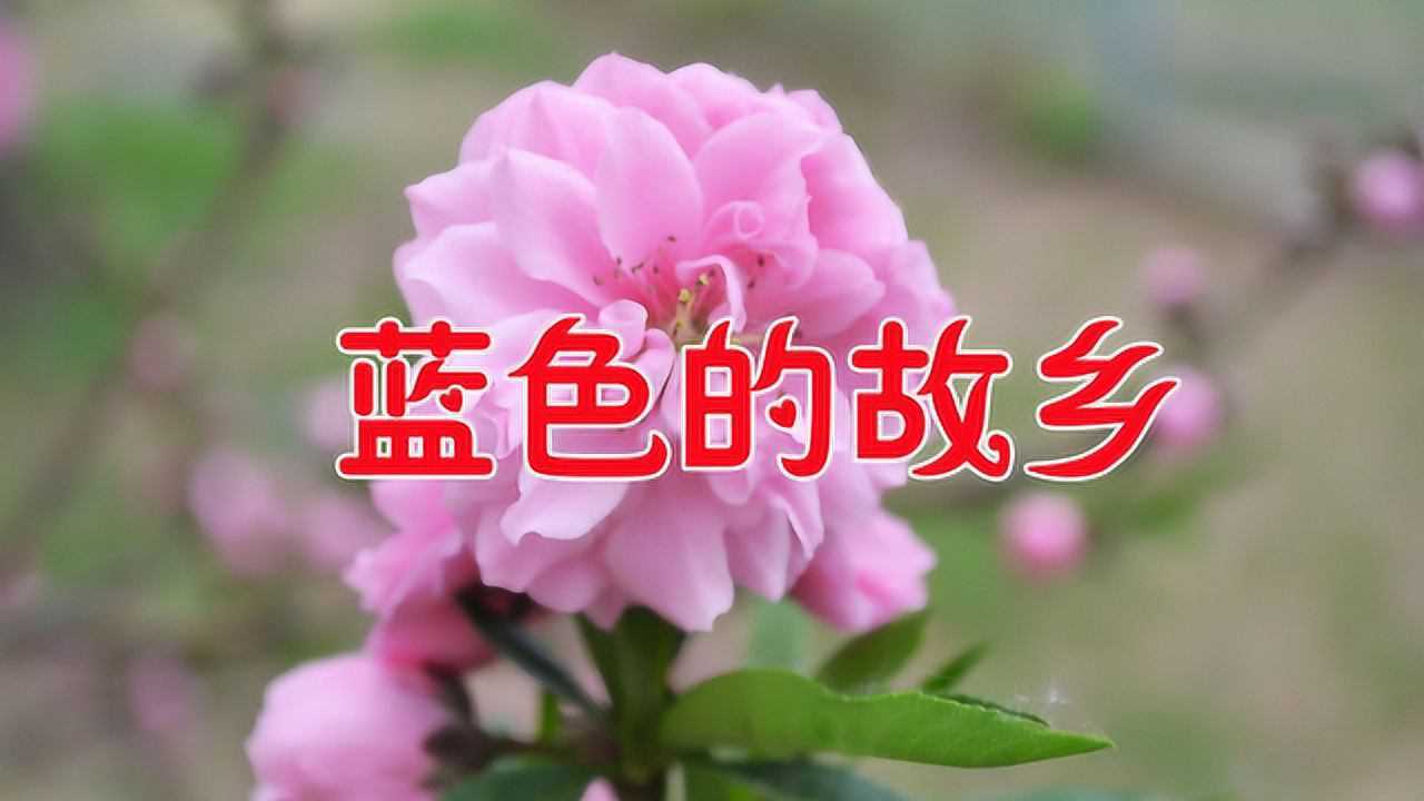 乌兰图雅一首蓝色的故乡怀旧经典悠扬高亢醉人心扉