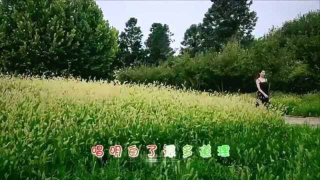 经典音乐,一首《康定情缘》歌声独特迷人,声动梁尘