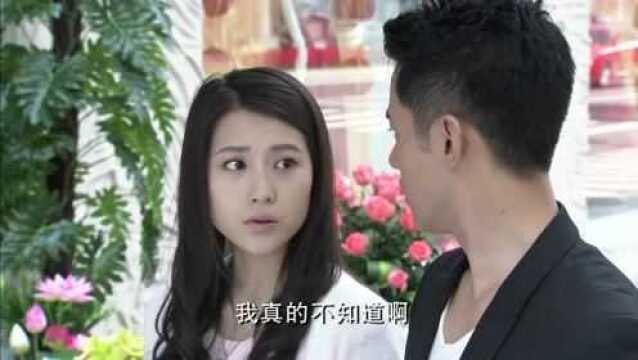 美女不能再花店继续工作老板也不舍的