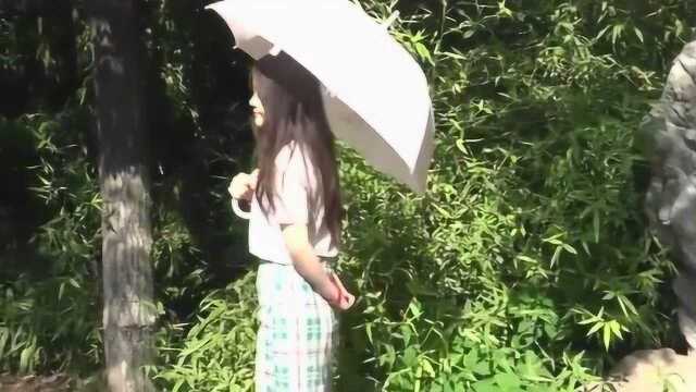 一首草原天籁《原香草》一字一句美如画,歌声深情动听