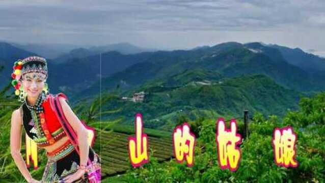 阿里山的姑娘 文字蝴蝶绕山转 文字姑娘穿山间 你见过吗