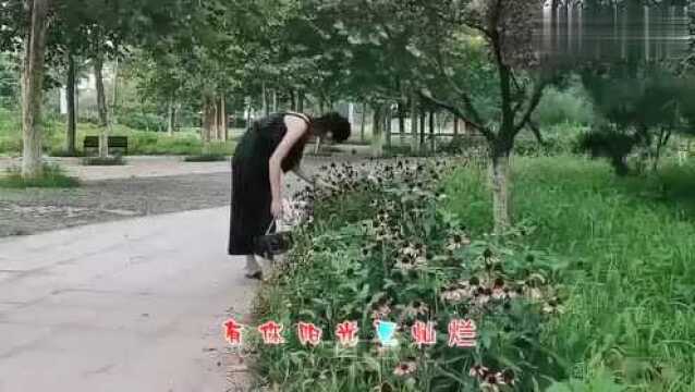 经典音乐,一首《小苹果》甜美歌声,歌声优美