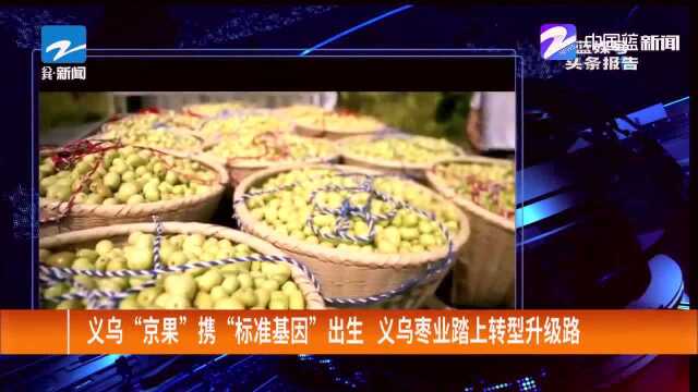 义乌“京果”携“标准基因”出生,义乌枣业踏上转型升级路