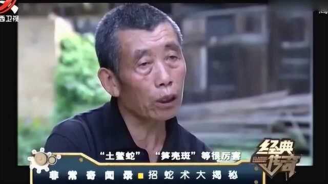 男子拥有“神功”?念出咒语竟能让毒蛇乖乖听话,还能解各种蛇毒!