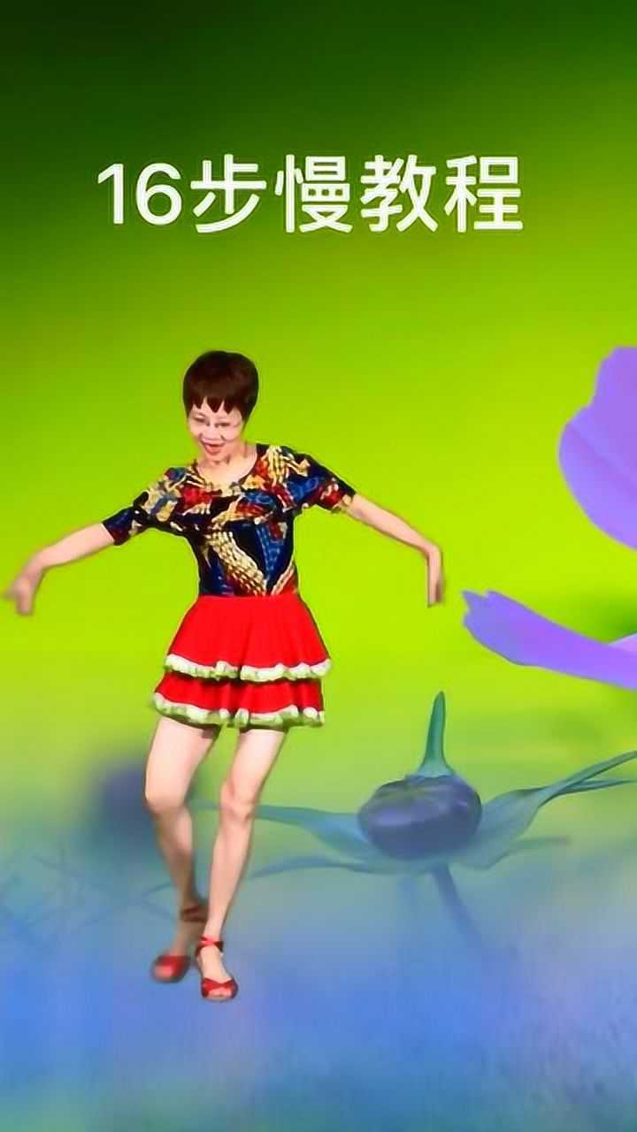 简单易学的广场舞,16步《兰花草》慢动作分解
