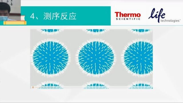 第3讲 半导体测序技术《高通量测序技术》 第3章 高通量测序原理及特点