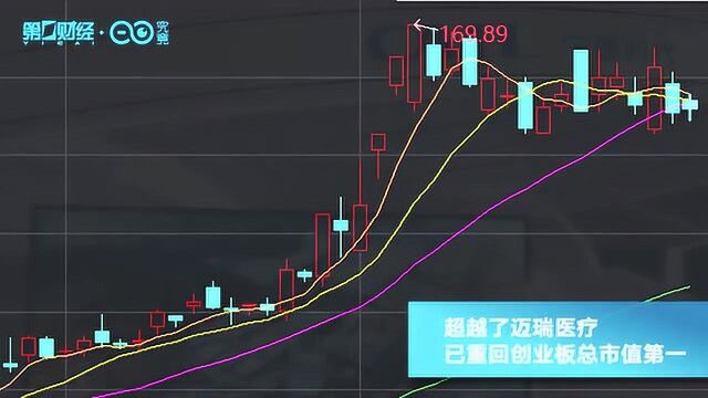 200亿,“最热股”宁德时代大手笔定增,再融资新规见效?