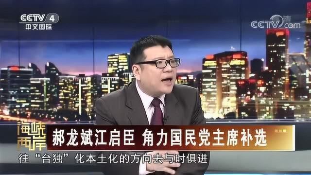 专家:参选国民党主席,要保证“一中”底线!