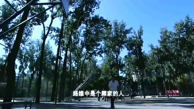 温柔的背后:宁远大胆示爱,路教授却是个顾家的男人